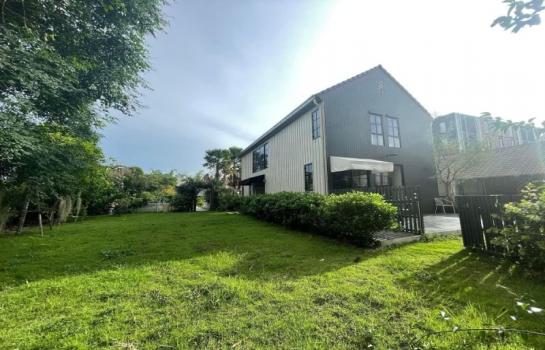 �����ԡ�