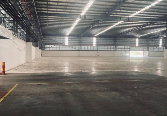 �ç�ҹ���������������ѧ �ź���