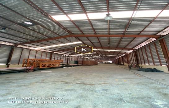 �ҧ���� �� Kong property