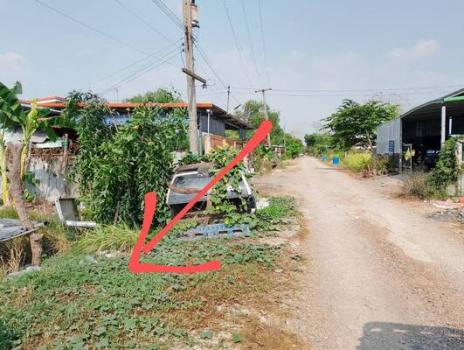 ���١�� �� Estate Corner