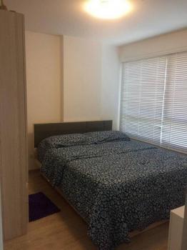 ��¤͹� 3,490,000 �ҷ