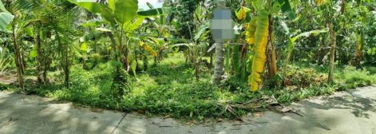 ��·��Թ ���ѹ����