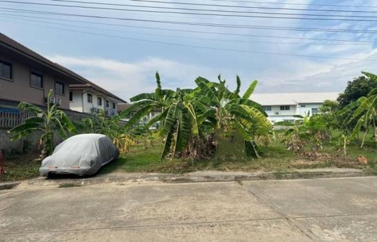 �ҧ�� �� onanong khumaphao