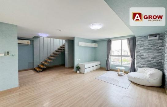 �͹� 79 2,450,000 �ҷ