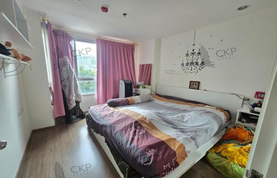 �͹������������� ������