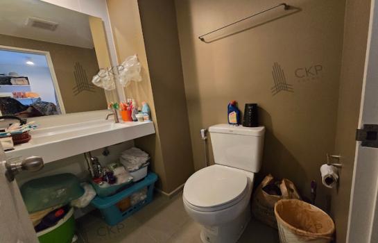 �͹ⴾ������������� ������