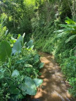 �ҧ�� �� onanong khumaphao