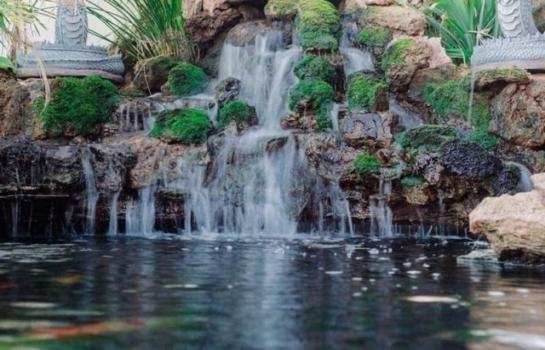 �ѹ��ᾧ �� onanong khumaphao