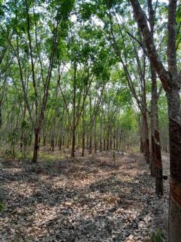 ��·��Թ �ҡ�� ���