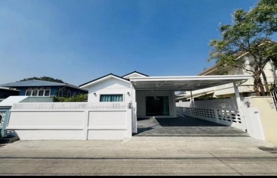 ��»����� �� coasset22