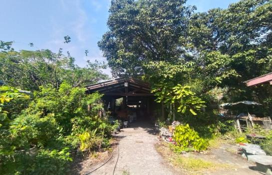 �����ԡ�