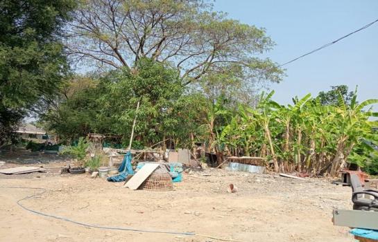 �ҧ�� �� sopa