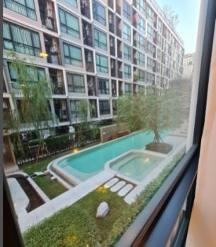 ���¢�ҧ �� nanthakan4