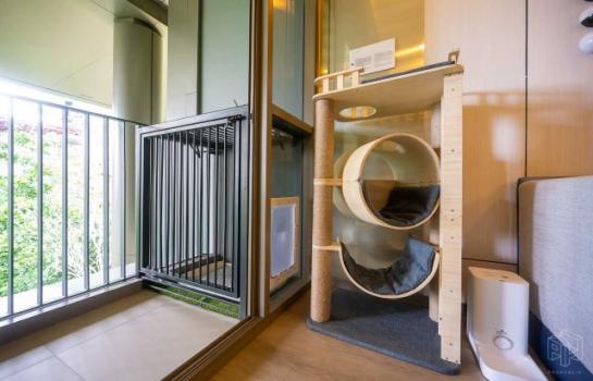 �ҧ��� �� ���പ