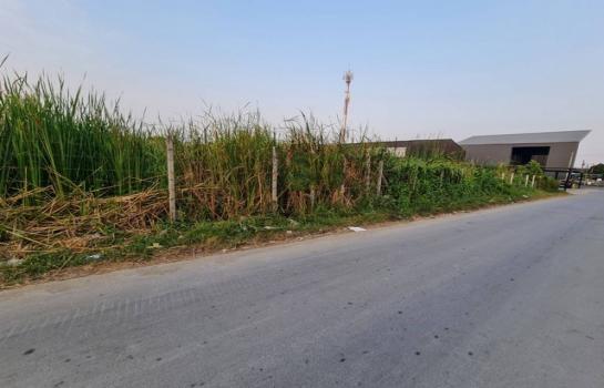 ����оҹ�٧ �� eakplsub64