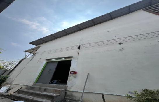 �����ҹ� �� 1000property