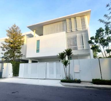 �֧���� �� Nuttapong