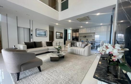 �֧���� �� ��ͼ��