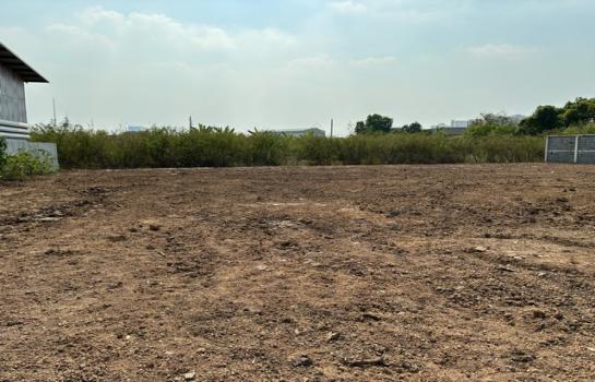 ที่ดิน lotus ที่ดิน lotus