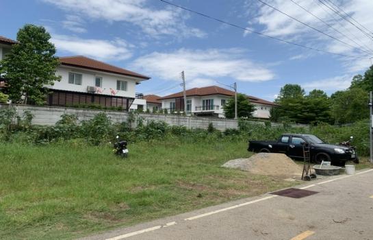 ��� �� tayapornaik1