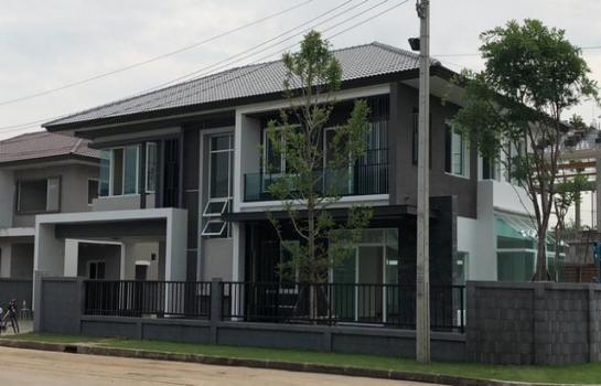 ������ �� asangha PL