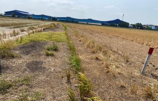 �ҧ�� �� khunnan56