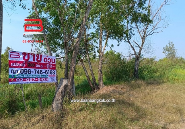 ��ù�¡ �� Baan Bangkok Broker