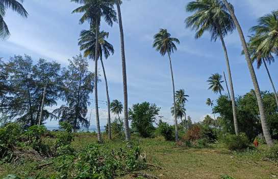 ���Թ�ٻ���������� ��ШǺ���բѹ��