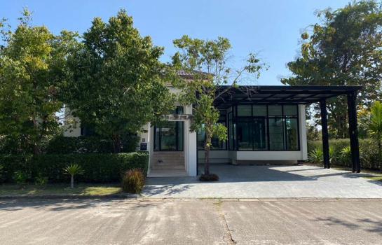 ������ �� �Ң�ѭ �Ź�����