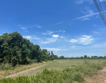 �Ҵ������� �� incube