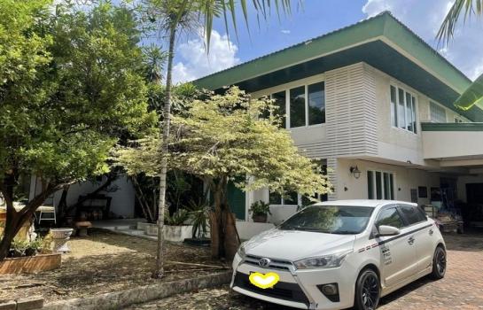 ������ �� asangha PL