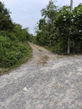 �س ��ѹ���