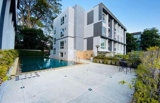 ���ͧ �� �Ң�ѭ �Ź�����