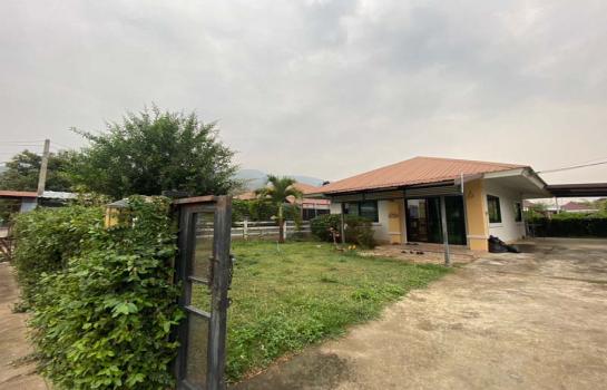 �Ң�ѭ �Ź�����