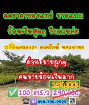 ขายที่ดิน นครนายก 150,000-300,000 บาท
