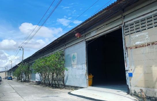 �ҧ��� �� joy namfon2