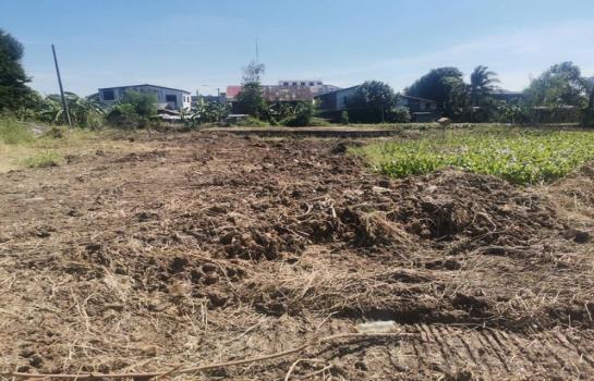 ������ �� asangha PL