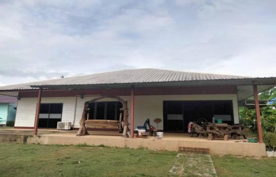 �ѹ���� �� sopa