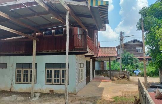 ��º�ҹ ���ͧ��ʸ���ʸ�