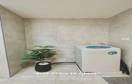 ��»����� �� Docondo