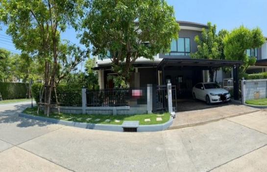 ����ǹ��ǧ �� Nan