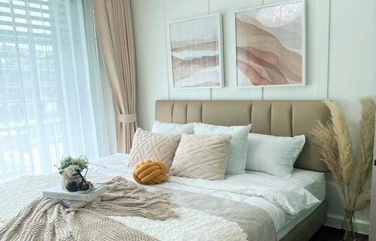 ��»����� �� Docondo