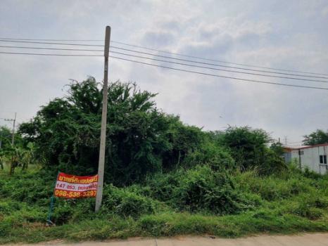 ����С� �� Estate Corner