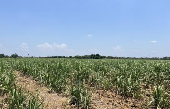 �ҭ������ �� room168sub