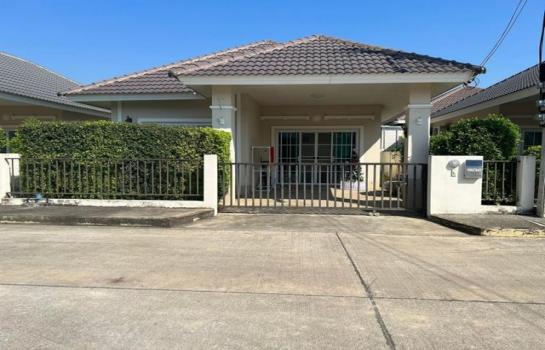 �ҧ�� �� northern1