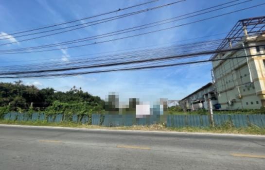 �ҧ���� �� nanthakan4