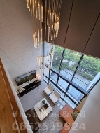 ��º�ҹ �Ҥһ�С�Ȣ�� 55,000,000 �ҷ