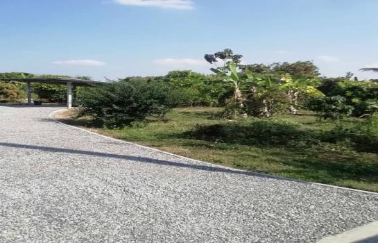 ����ҧ �� onanong khumaphao