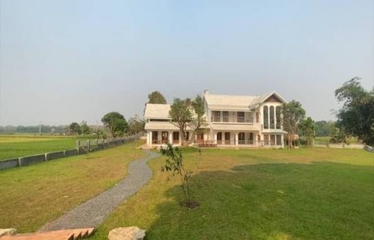 ��ҹSwimming 15,000,000 �ҷ