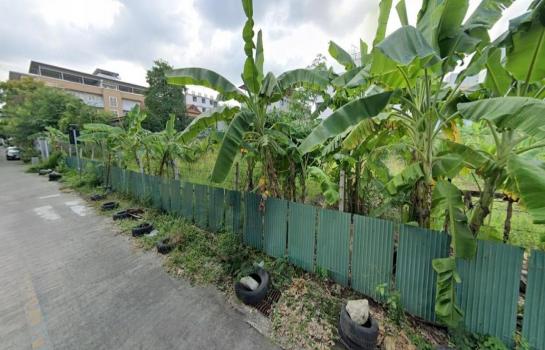 �ǹ��ǧ �� HarrisonTH